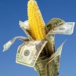 corn_with_dollars